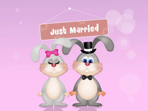 小兔子的婚礼的插图 — 图库照片