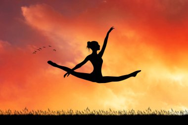 Gün batımında büyük jete İllüstrasyon