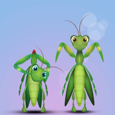 mantis çift çizimi