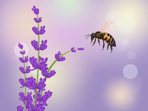 Illustration Bee Lavender — Stock Photo, Image