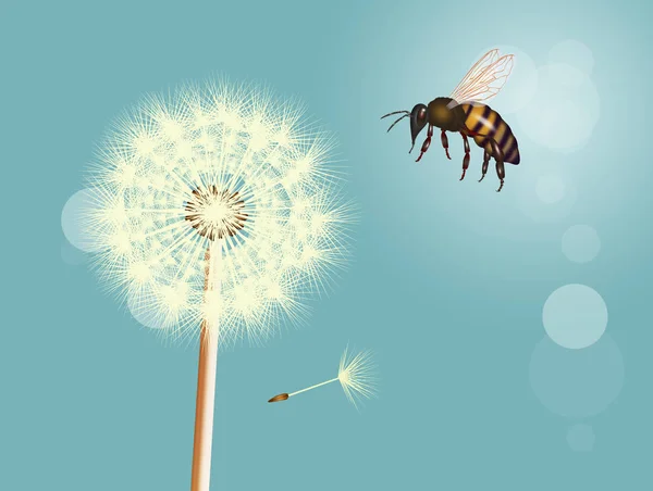 Illustration Bee Maskros — Stockfoto