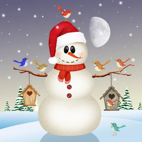 Bird House Snowman Winter Landscape — Stock Photo, Image