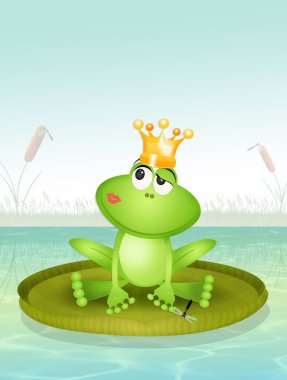 havuzda nilüfer üzerinde kurbağa