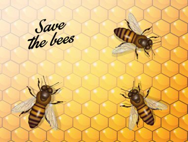 arılar kaydetmek Illustration