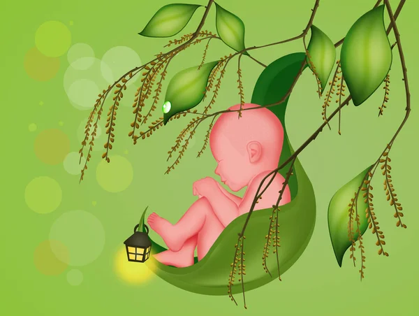 树上的叶子里的婴儿 — 图库照片