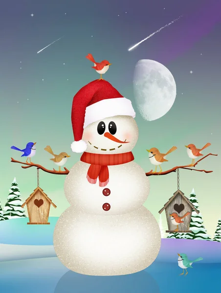Vogelkooi Sneeuwpop Winter Landschap — Stockfoto