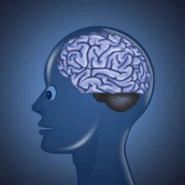 Ilustrasi Otak Manusia Kepala — Stok Foto