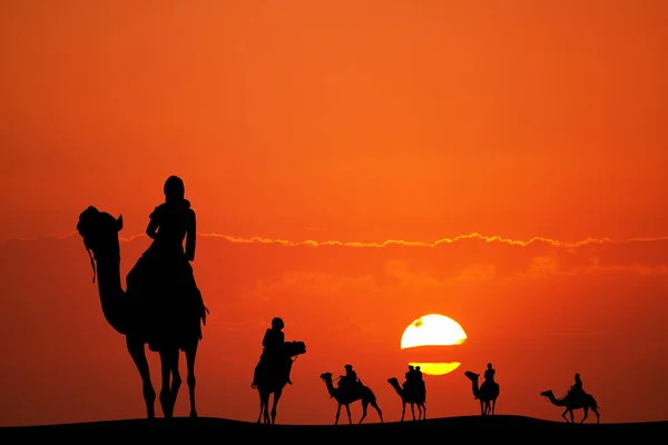 Illustration Sunset Camel Ride — Stockfoto