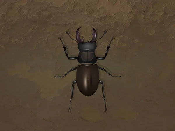 Illustration Stag Beetle Trunk — Stockfoto