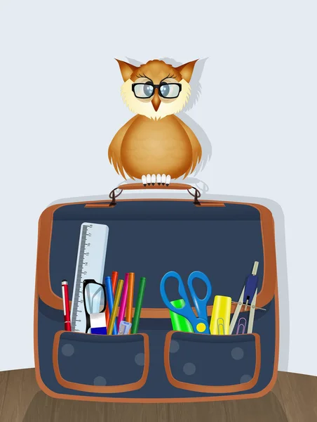 猫头鹰在学校书包 — 图库照片