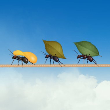 Patates ve yapraklı karıncalar