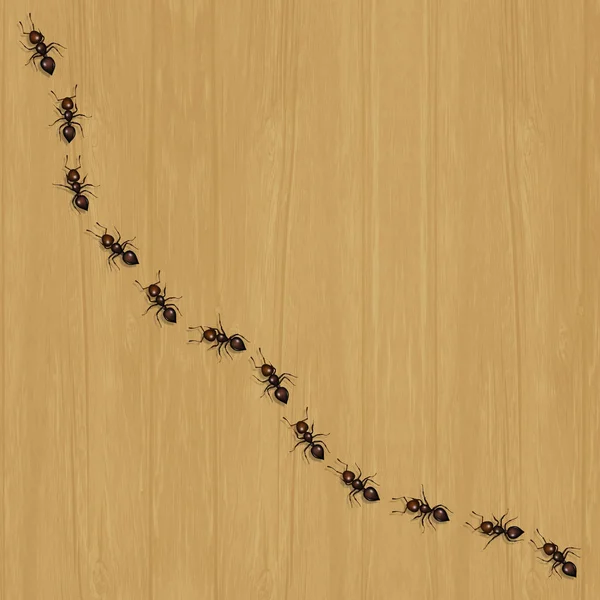 Ilustración Hormigas Suelo — Foto de Stock