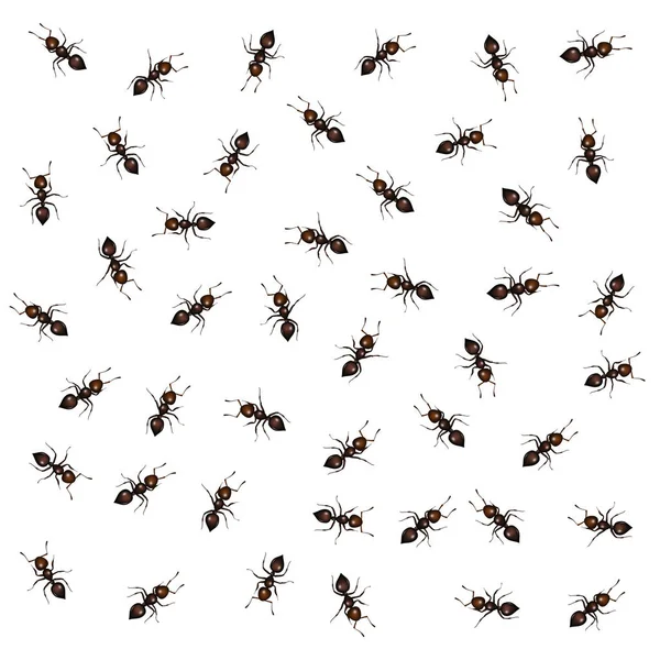 배경에 개미의 — 스톡 사진