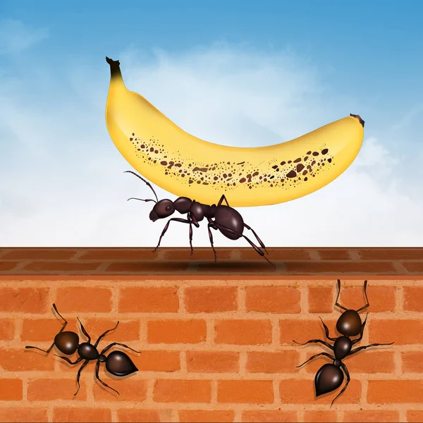 Ilustração Formiga Com Banana — Fotografia de Stock