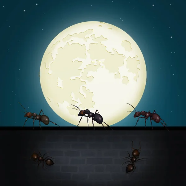 Mravenčí Tým Zdi Měsíčním Světle — Stock fotografie