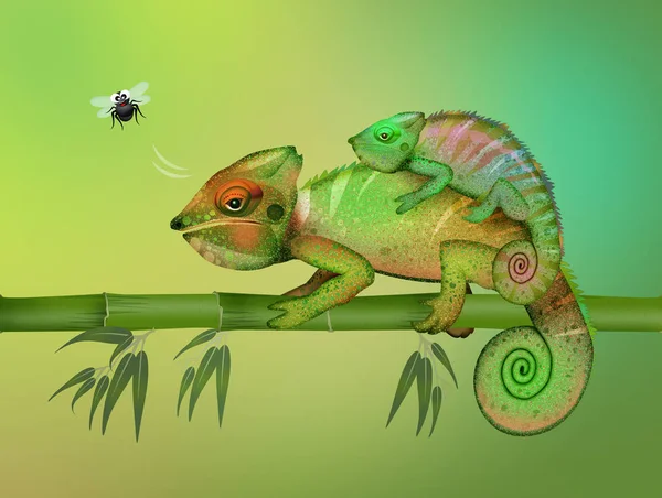 Ilustracja Dwóch Kamuflowanych Kameleonów — Zdjęcie stockowe
