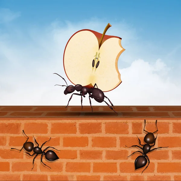 Ilustrace Mravence Jablkem — Stock fotografie