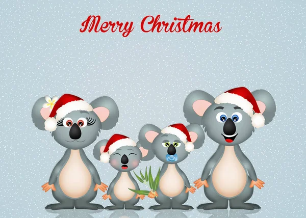 Illustration Von Koalas Weihnachten — Stockfoto