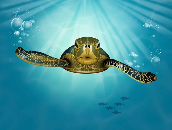 Illustratie Van Zeeschildpadden Oceaan — Stockfoto