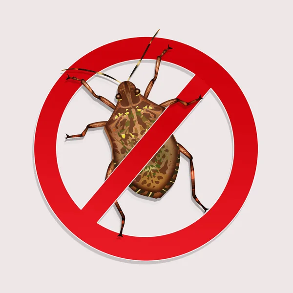 Illustration Stop Bedbugs — Stock Photo, Image