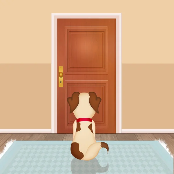 Ilustración Del Perro Esperando Amo Puerta Principal —  Fotos de Stock