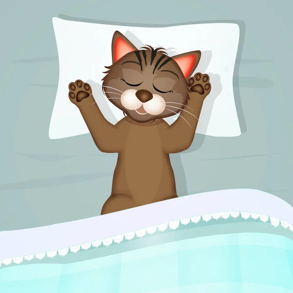 Illustratie Van Kat Bed — Stockfoto