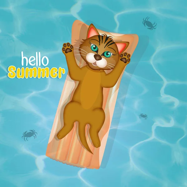 夏の絵葉書に小さな猫が海の上のマットレスで — ストック写真
