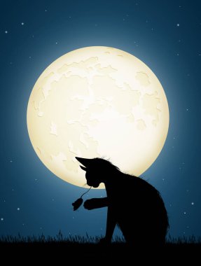 Kedi gece fareleri kovalıyor.