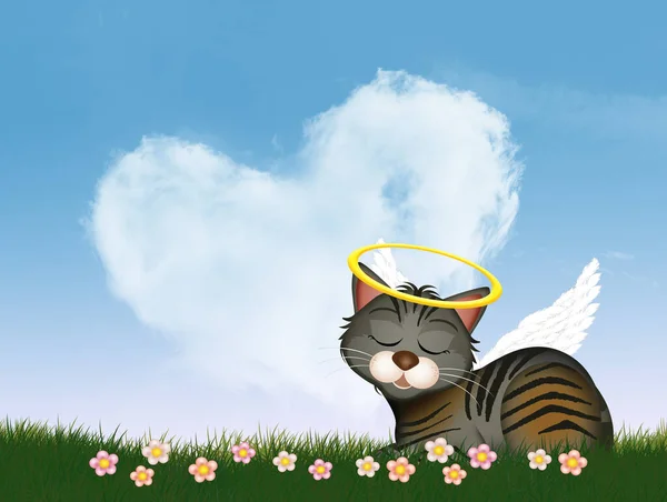 cat angel in the heaven