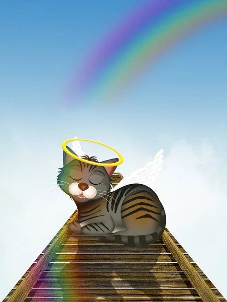 cat on the rainbow bridge in the heaven