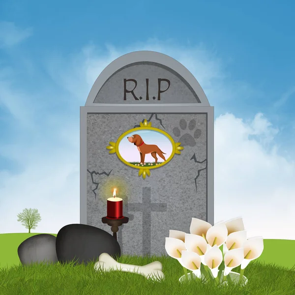 Ilustración Cementerio Para Perros —  Fotos de Stock
