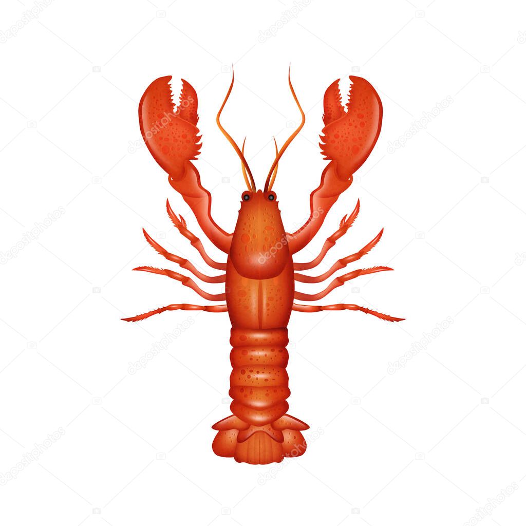 illustration of lobster icon on white background