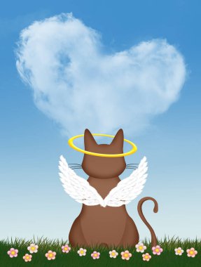 Cennetteki kedi meleğinin resmi.