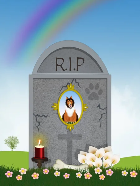 Illustration Grave Dog — Stock Photo, Image