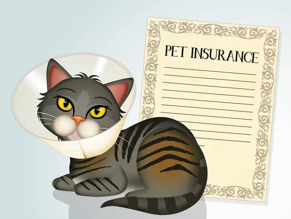 illustration of pet insurance