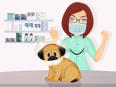 Veteriner köpeği çizimi