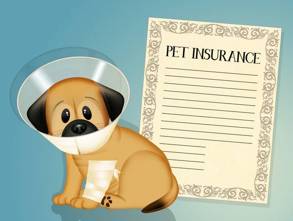 illustration of pet insurance
