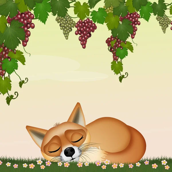 Illustration Red Fox Sleeping Grapes — Stock Photo, Image