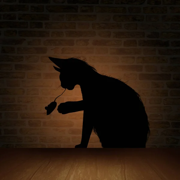 ネズミと猫の影 — ストック写真
