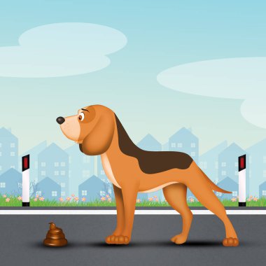 Köpeğin kakasını topla.