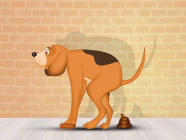 Köpek kakasının gösterimi