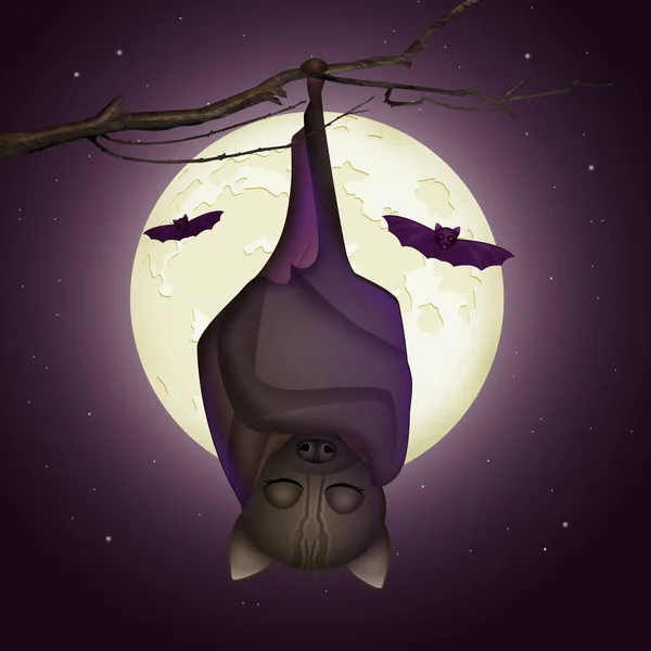 Illustration Chauve Souris Suspendue — Photo