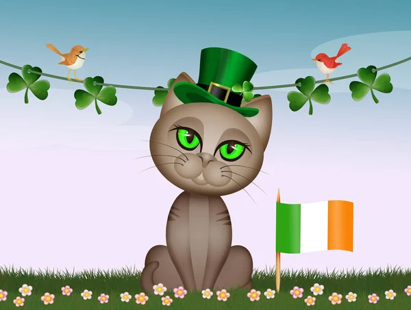 Patrick Day Vykort Med Rolig Kattunge — Stockfoto