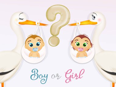 will the girl or the boy be born? clipart