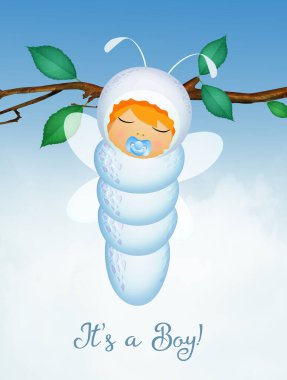 Erkek için tırtıl doğumlu kartpostal.