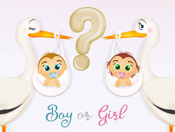 will the girl or the boy be born?