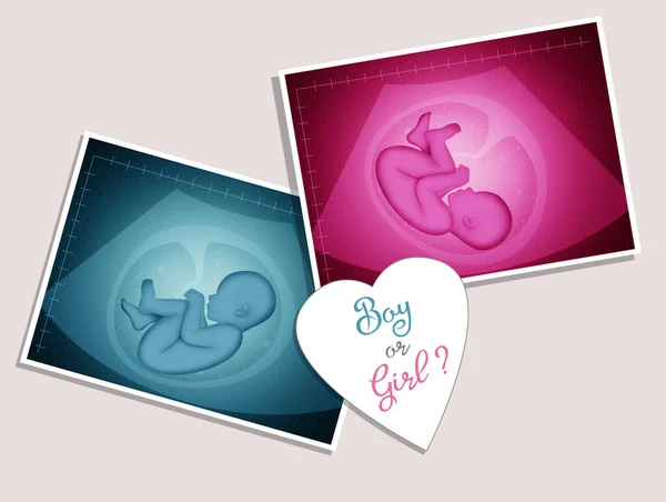 Gender Reveal Baby Male Female — Stock Photo, Image
