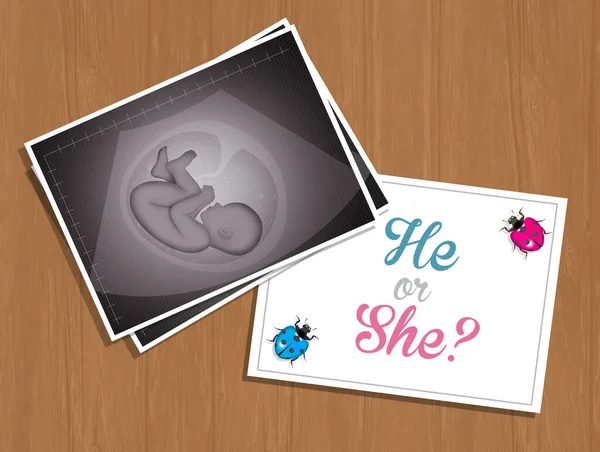 Funny Illustration Gender Reveal — Stock Photo, Image