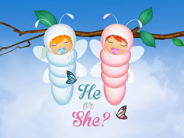 Gender reveal party invitation template with caterpillars male and female