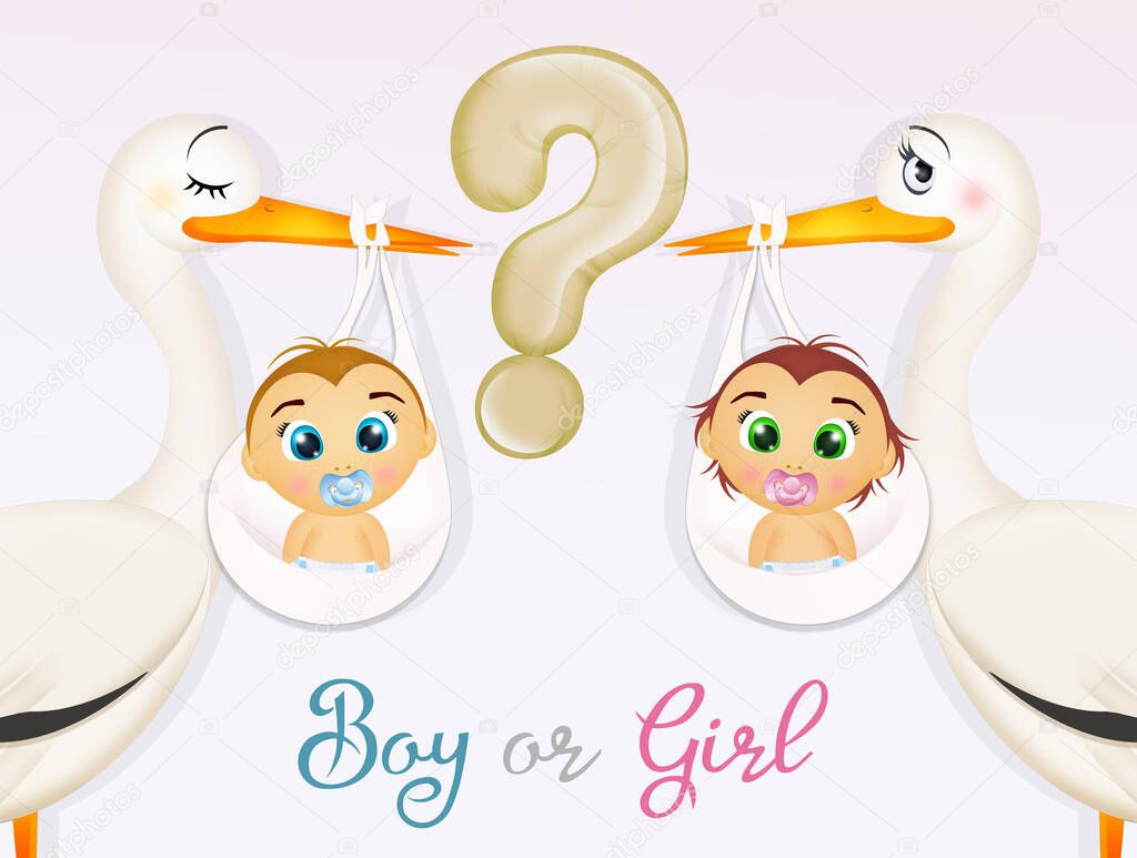 will the girl or the boy be born?